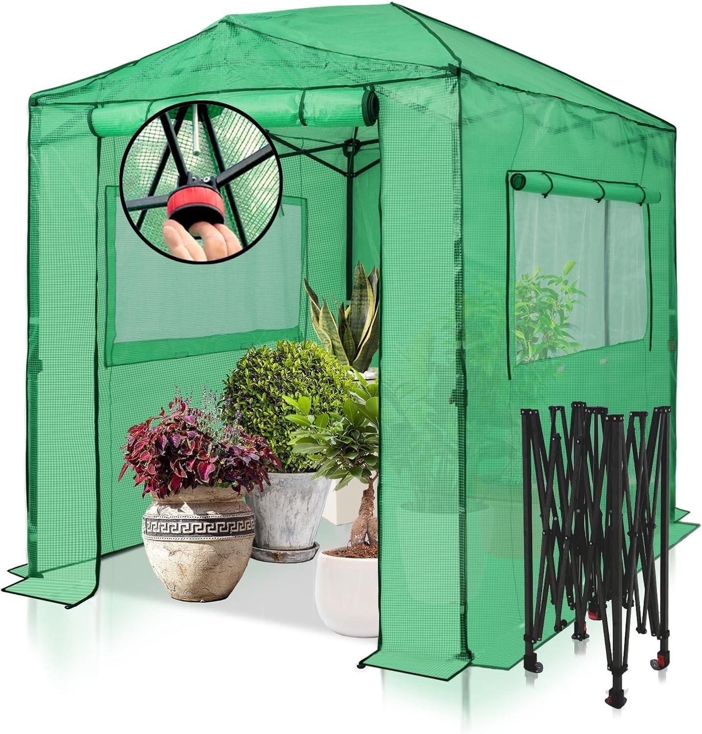 EAGLE PEAK Pop Up Greenhouses 8' X 6' Portable Instant Walk-In Garden Greenhouse & Reviews | Wayfair