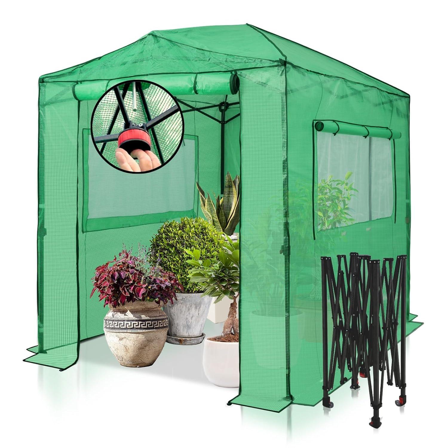 EAGLE PEAK Pop Up Greenhouses 8' X 6' Portable Instant Walk-In Garden Greenhouse & Reviews | Wayfair
