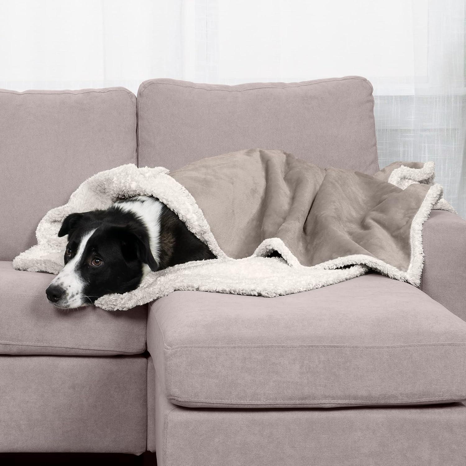 FurHaven Snuggly & Warm Soft-Edge Warming Waterproof Blanket