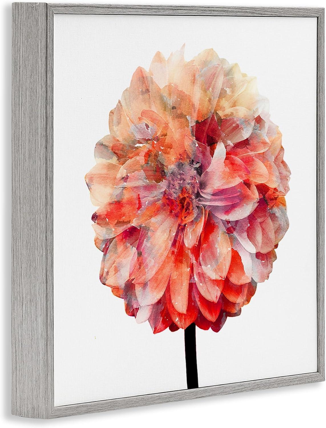 Stupell Industries Bright Coral Watercolor Bloom Dahlia Flower, 24 x 24,Design by Kimberly Allen