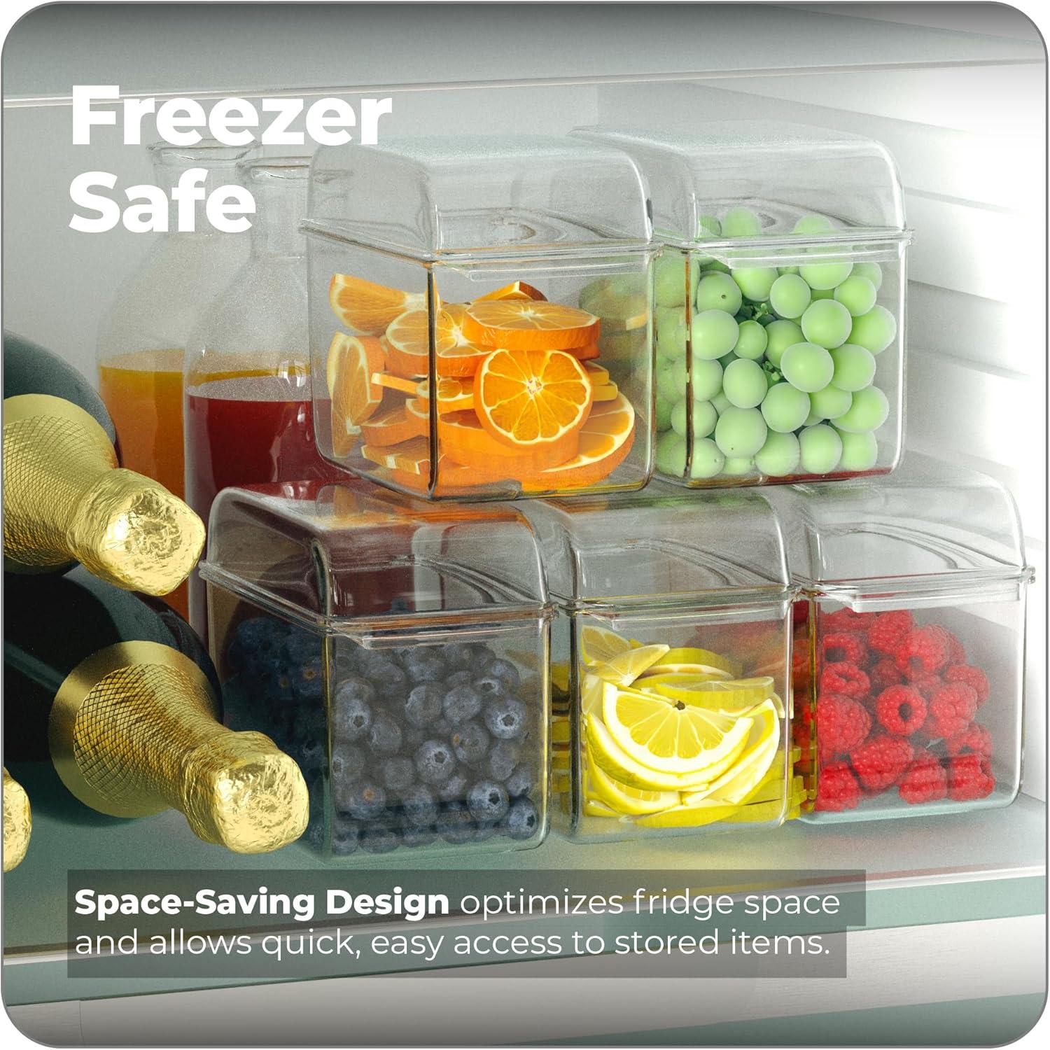 Clear Acrylic Ice Chilled Condiment Server with 5 Containers