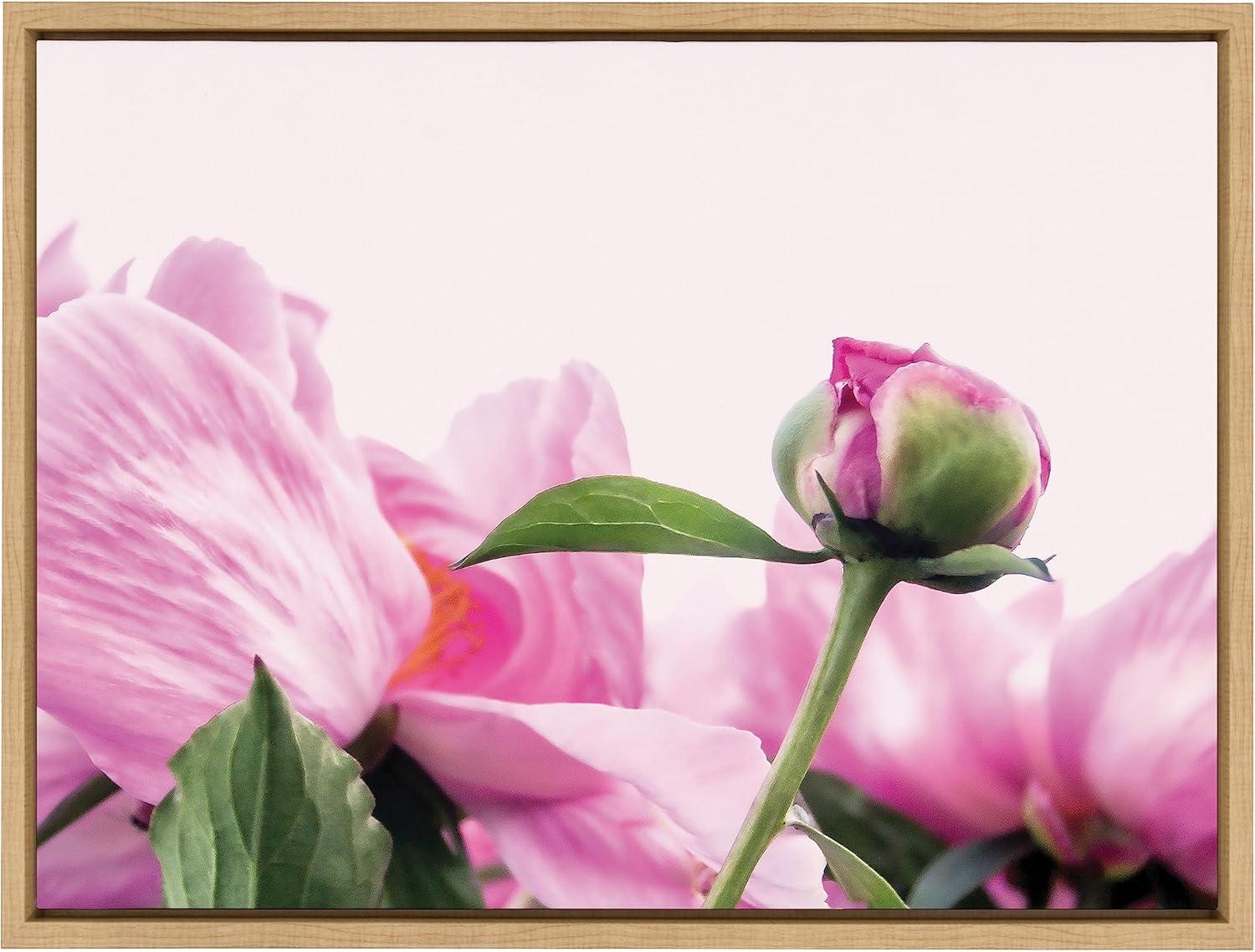 Pink Peony Bud Framed Canvas Wall Art, 18x24 Natural