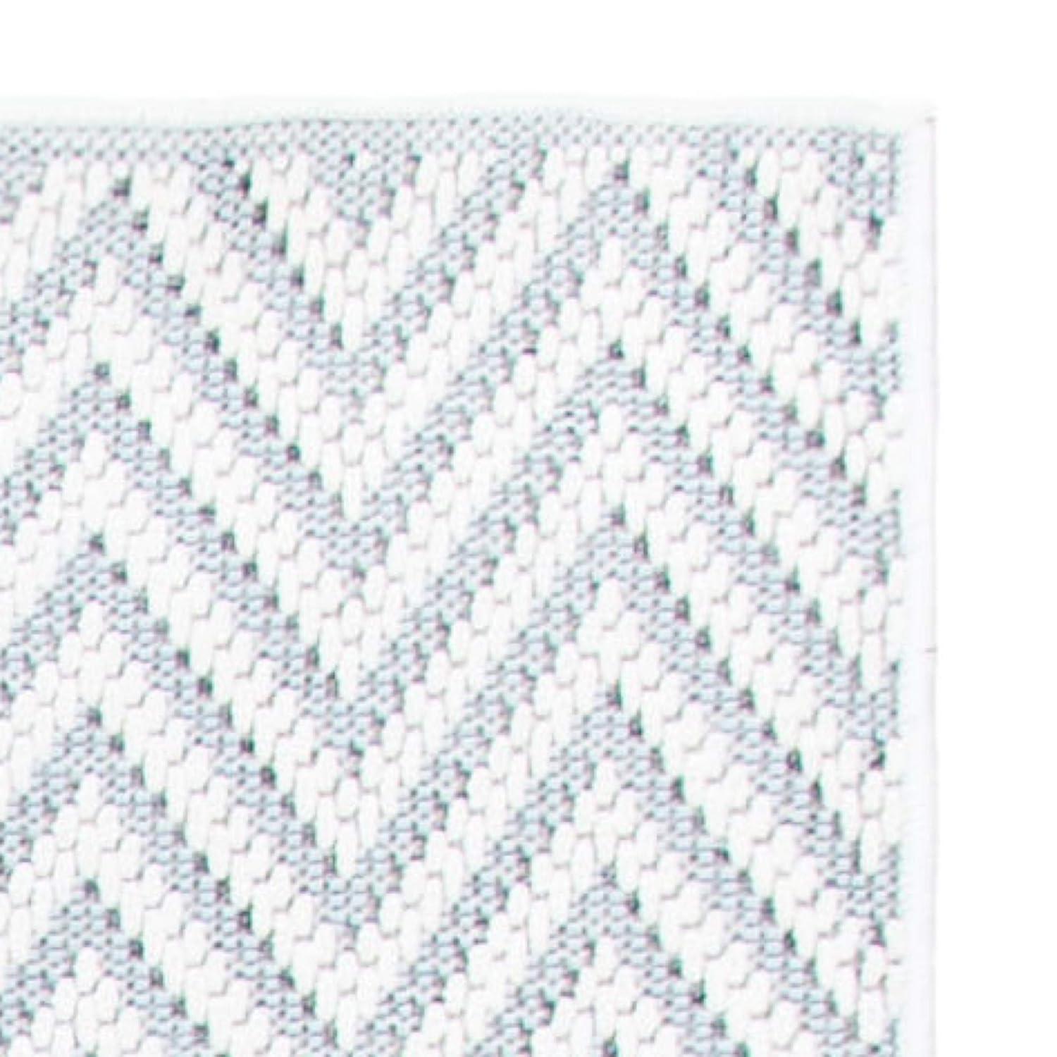 SAFAVIEH Bermuda Amina Geometric Chevron Indoor/Outdoor Area Rug Light Blue/Cream, 9' x 12'