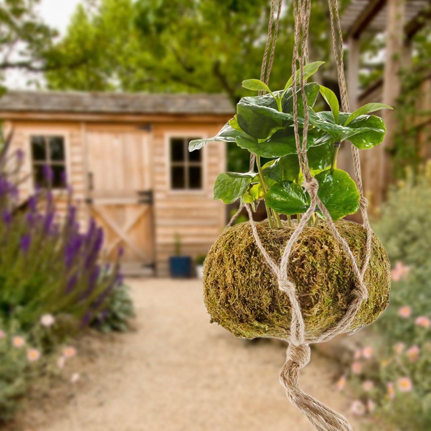 Esterno Kokedama Hanging Planter Kits, 3pk; Japanese Moss Ball Plant Holder