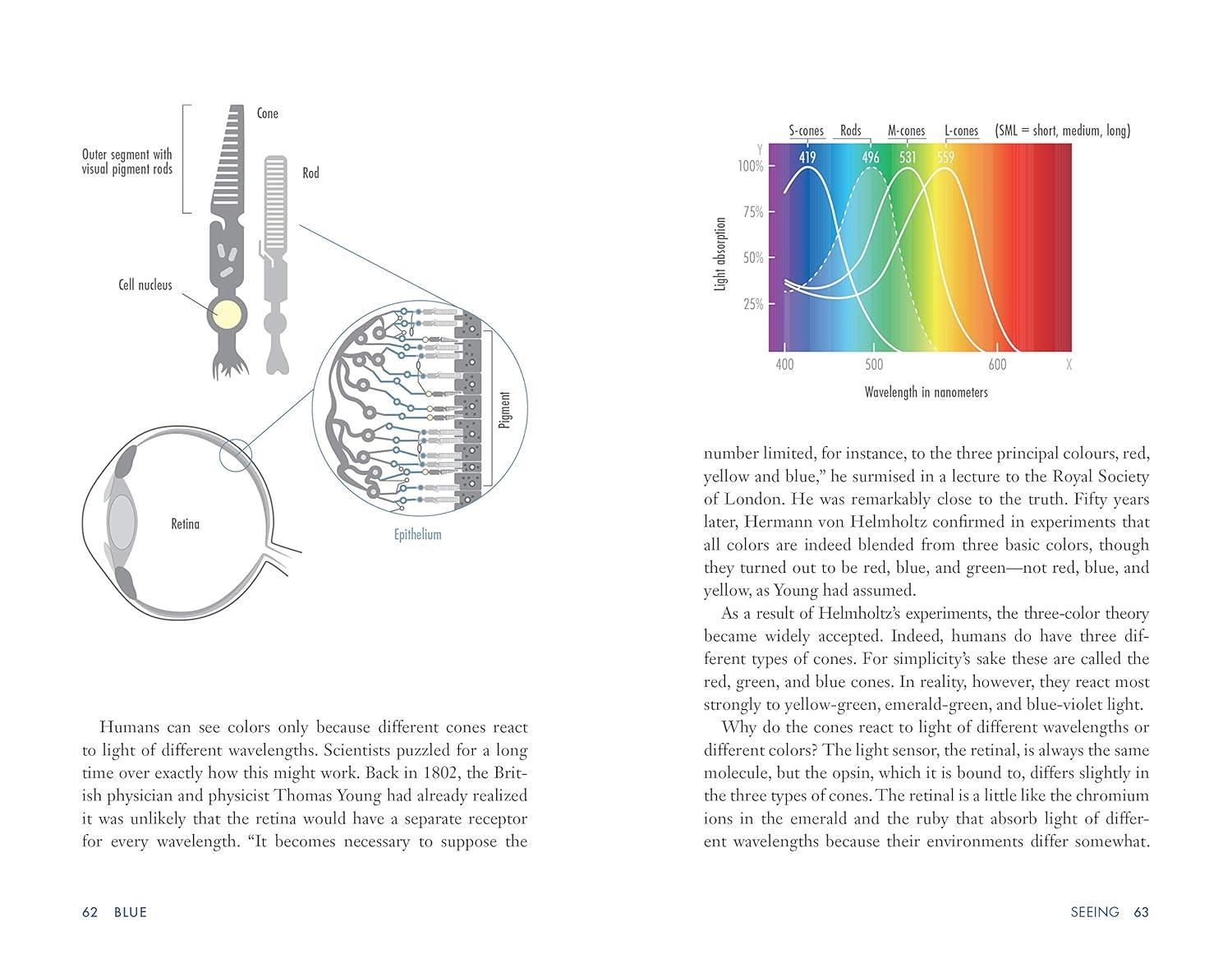 Blue: The Science and Secrets of Nature’s Rarest Color Paperback Book