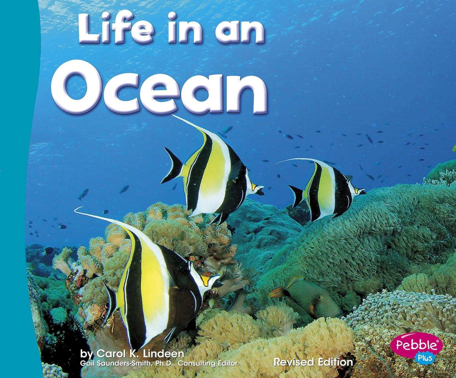 Life in an Ocean English Kids' Non-Fiction Book