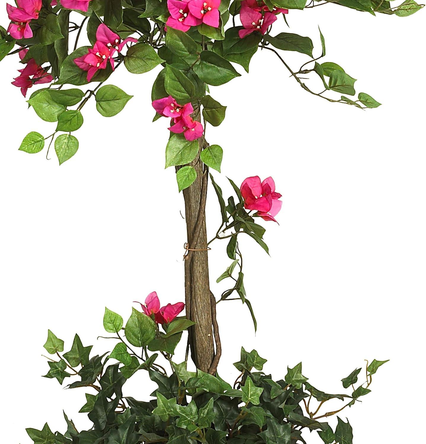 Primrue 5ft. Mini Bougainvillea Topiary