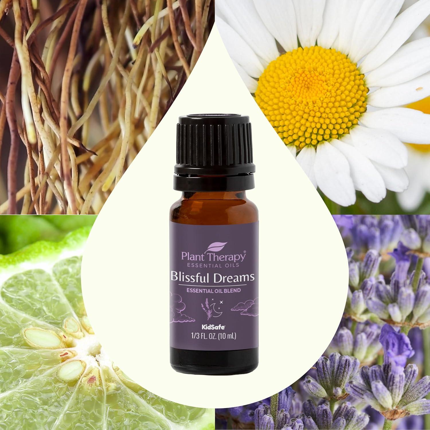 Plant Therapy Blissful Dreams Essential Oil Blend 10 mL (1/3 oz) 100% Pure, Undiluted, Natural Aromatherapy