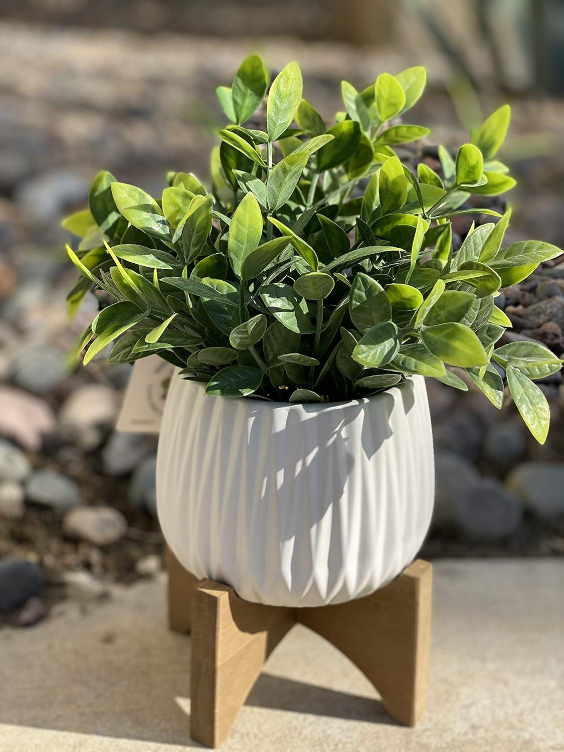 Artificial Plant Tea Leaf in 5 in Ridge Ceramic Pot on Wood Stand,Matte White