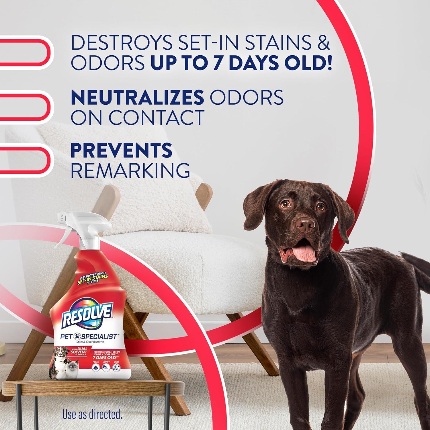 Resolve Pet Stain Remover Spray - 22oz