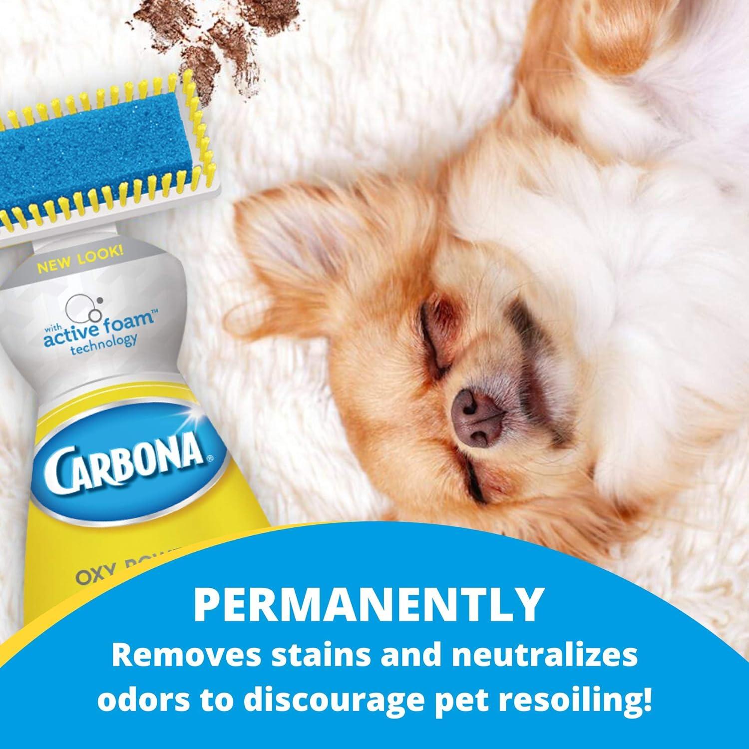 Carbona Oxy Powered Pet Stain & Odor Remover, Unscented, 22 fl oz Bottle
