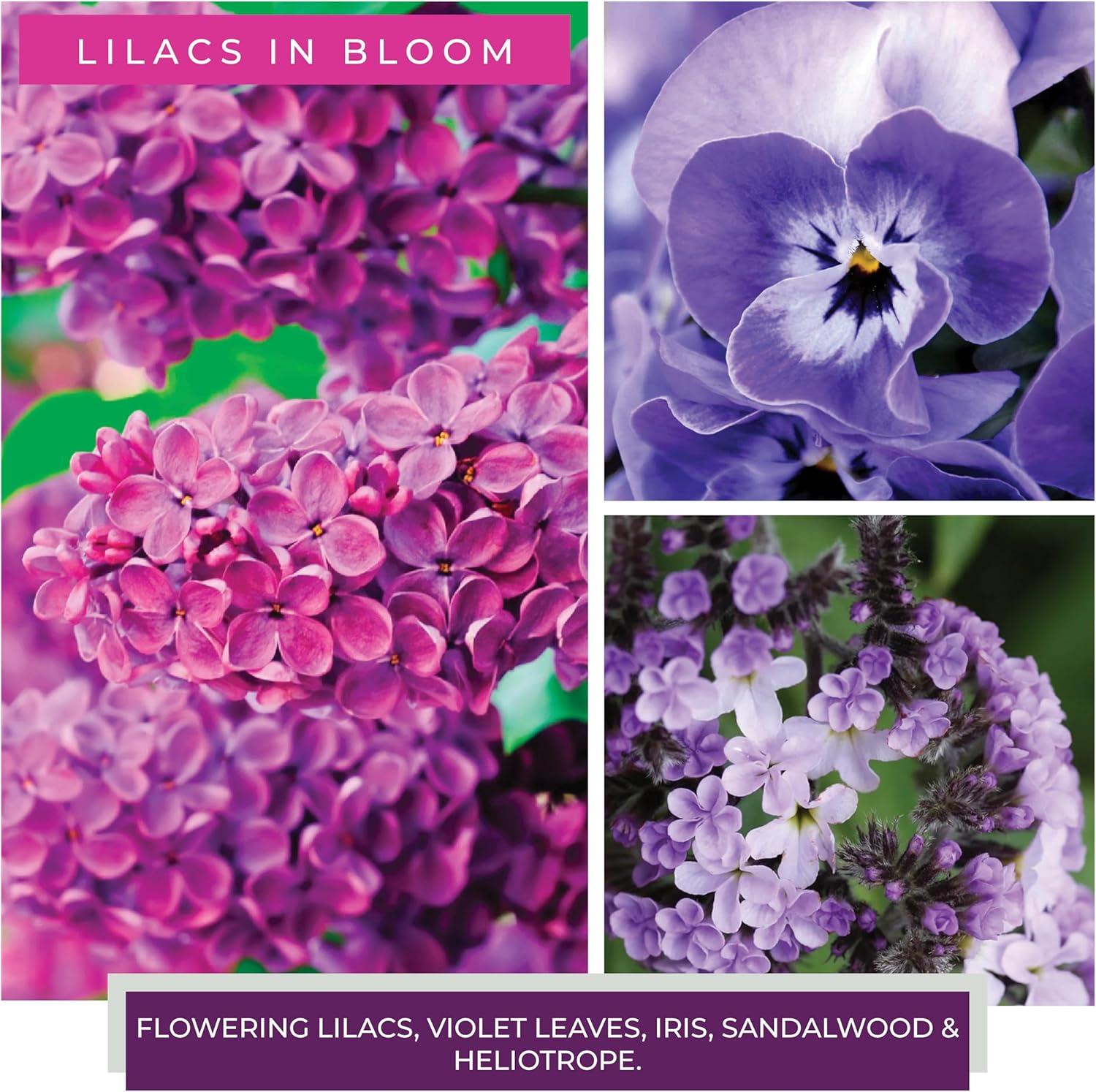 A Cheerful Candle LLC Lilacs in Bloom Scented Jar Candle | Wayfair