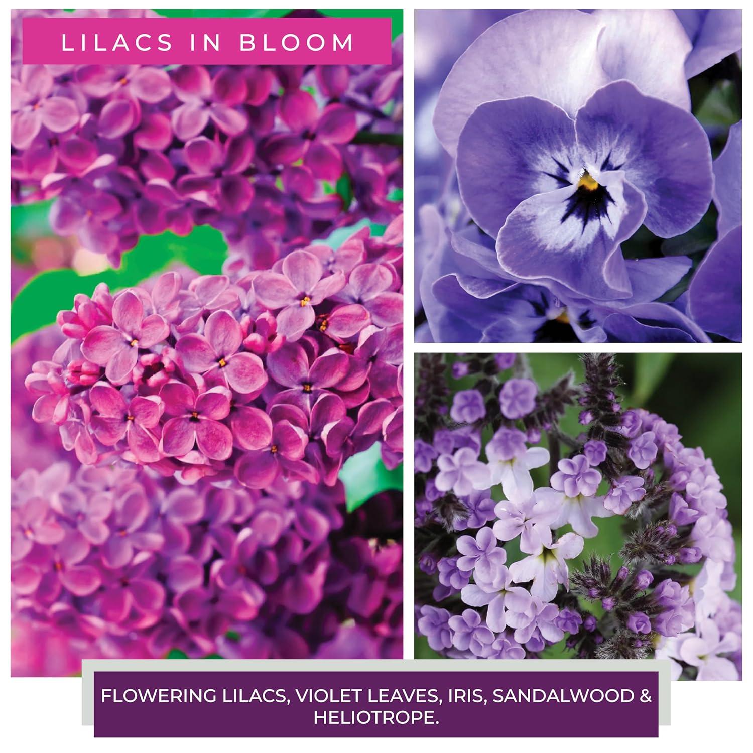 A Cheerful Candle LLC Lilacs in Bloom Scented Jar Candle | Wayfair
