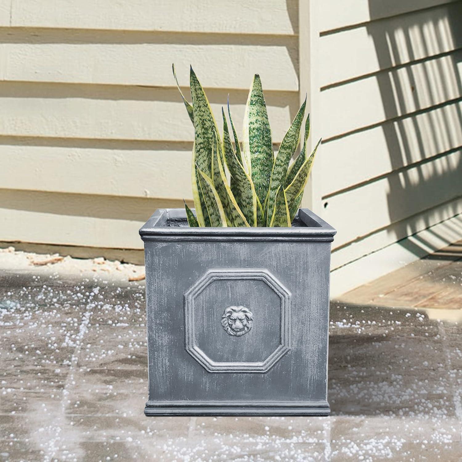 12.6" Kante Lightweight Classic Square English Style Lion Head Concrete Planter Antique Gray - Rosemead Home & Garden, Inc.