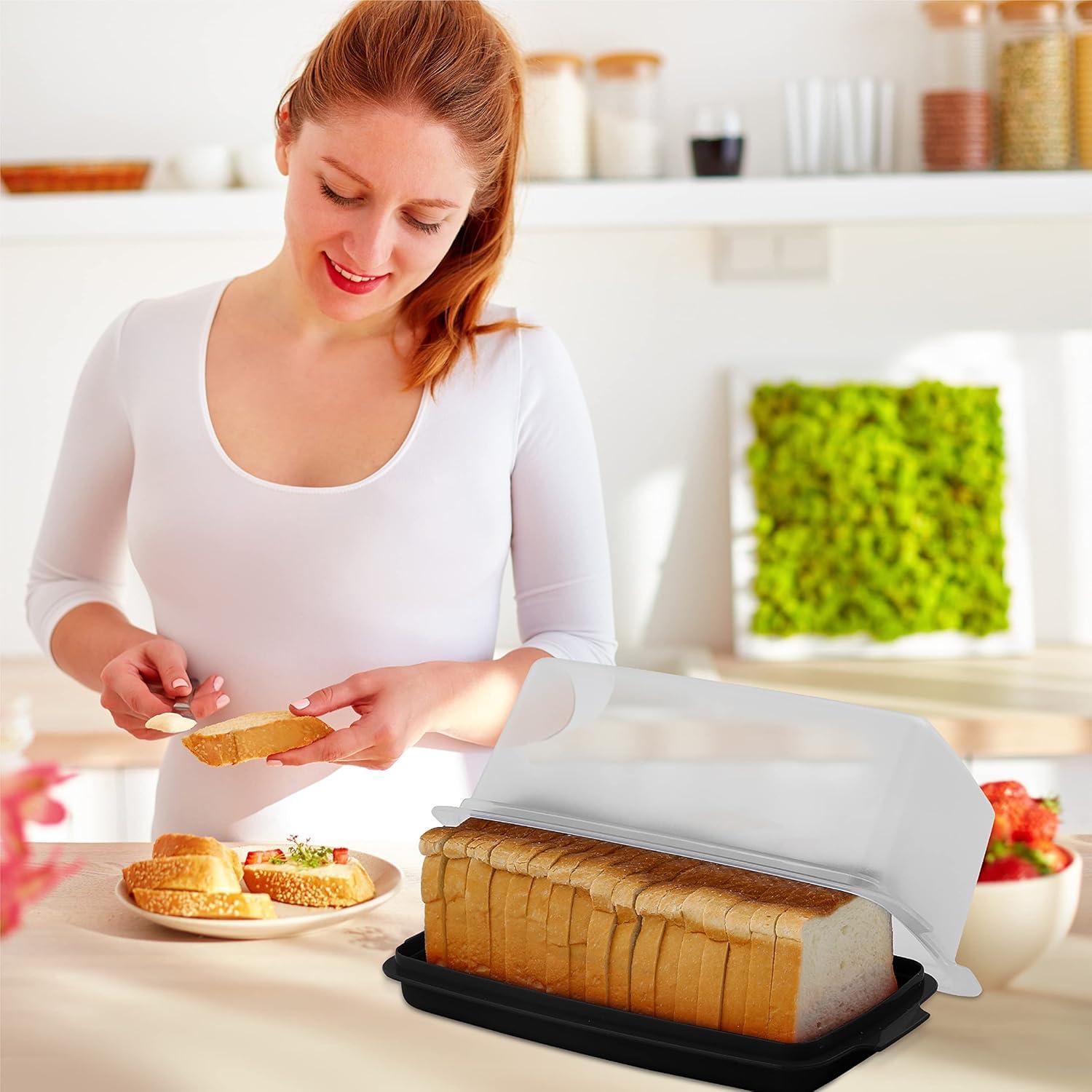 Signora Ware Plastic Spill-Proof Airtight Bread Box