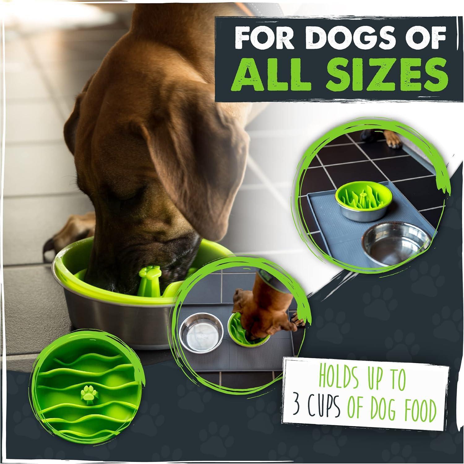 Mighty Paw Slow Feeder Dog Bowls for Large and Small Breeds, Puppy, Dog Puzzle