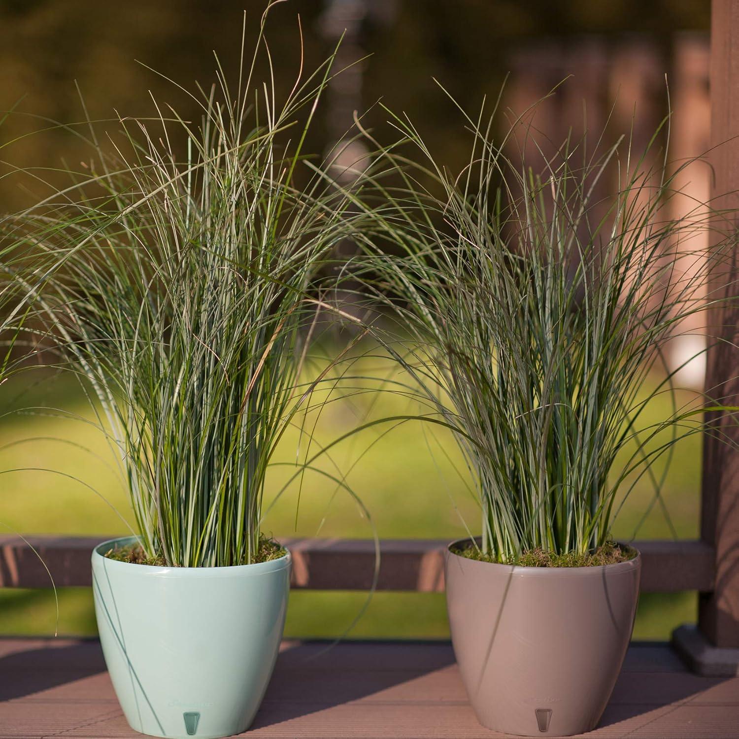 Lime Green 10-inch Plastic Self-Watering Planter