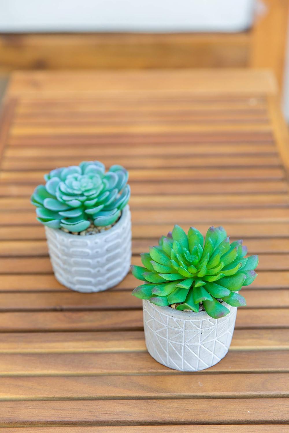 Flora Bunda Mid Century Artificial Plants Cactus Set of 2 Fake Succulent in 3" Cement Diamond line Pot Grey Planter, Potted Plants, for Home Office Decorations C65
