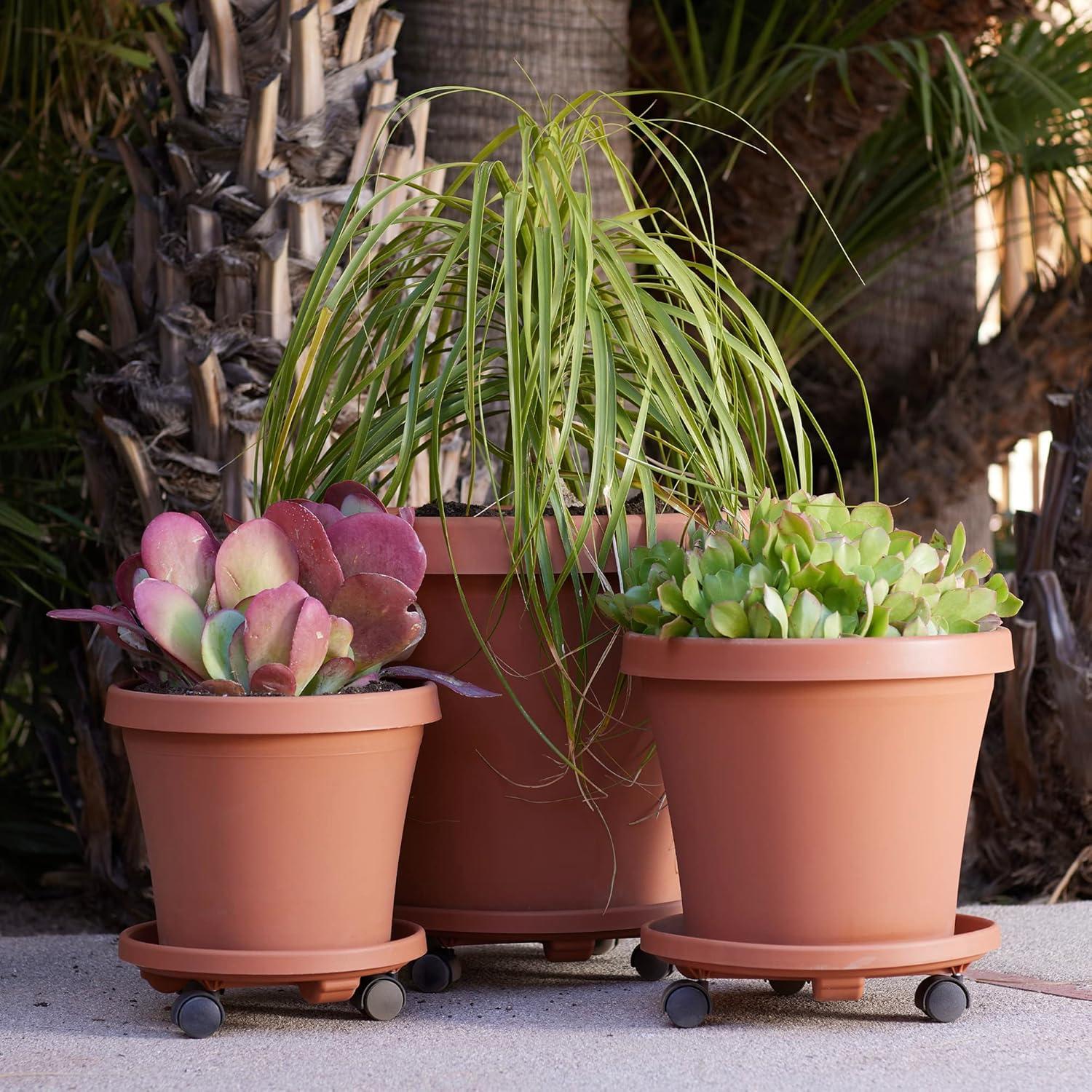 Bloem Caddy Round Plant Stand Caddy w/ Wheels Saucer Tray 14 in. Terra Cotta