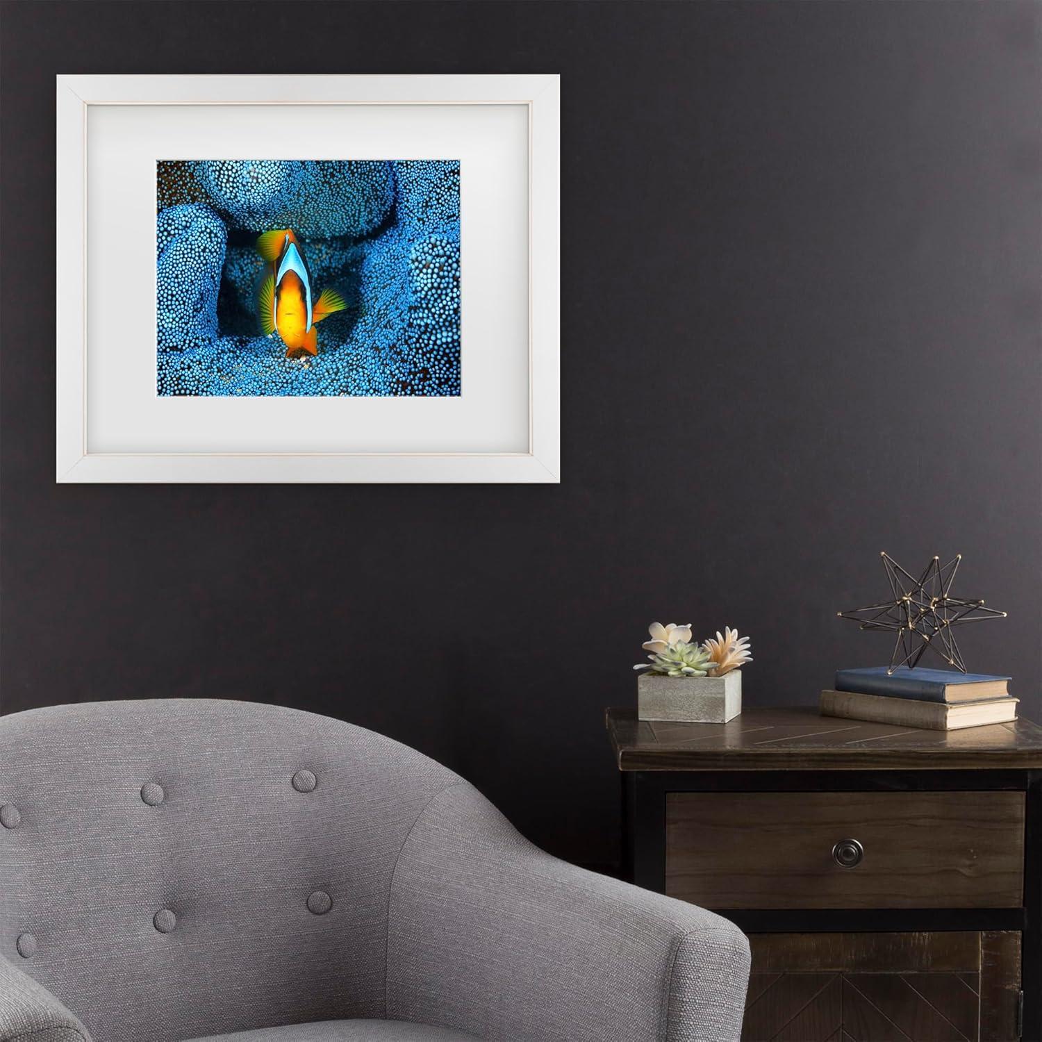 Trademark Fine Art - Barathieu Gabriel Clownfish In Blue Matted Framed Art