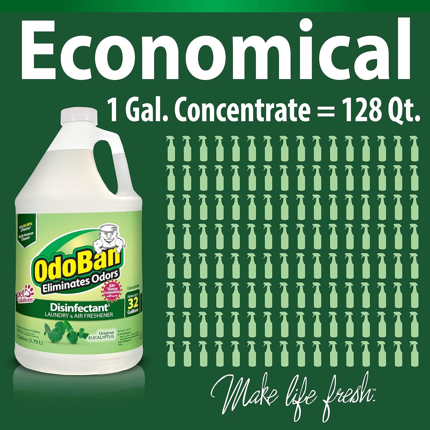 Concentrated Odor Eliminator and Disinfectant Eucalyptus, 1 gal Bottle