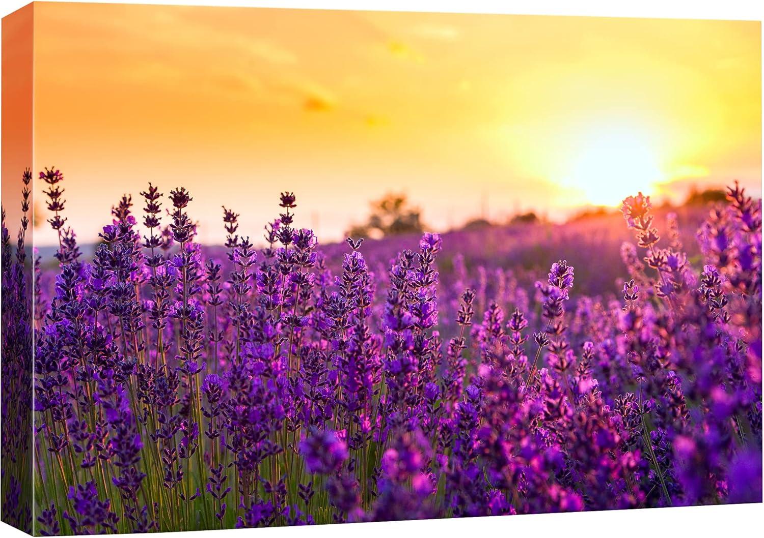 Lavender Field Sunset Landscape Canvas Print 24" x 36"