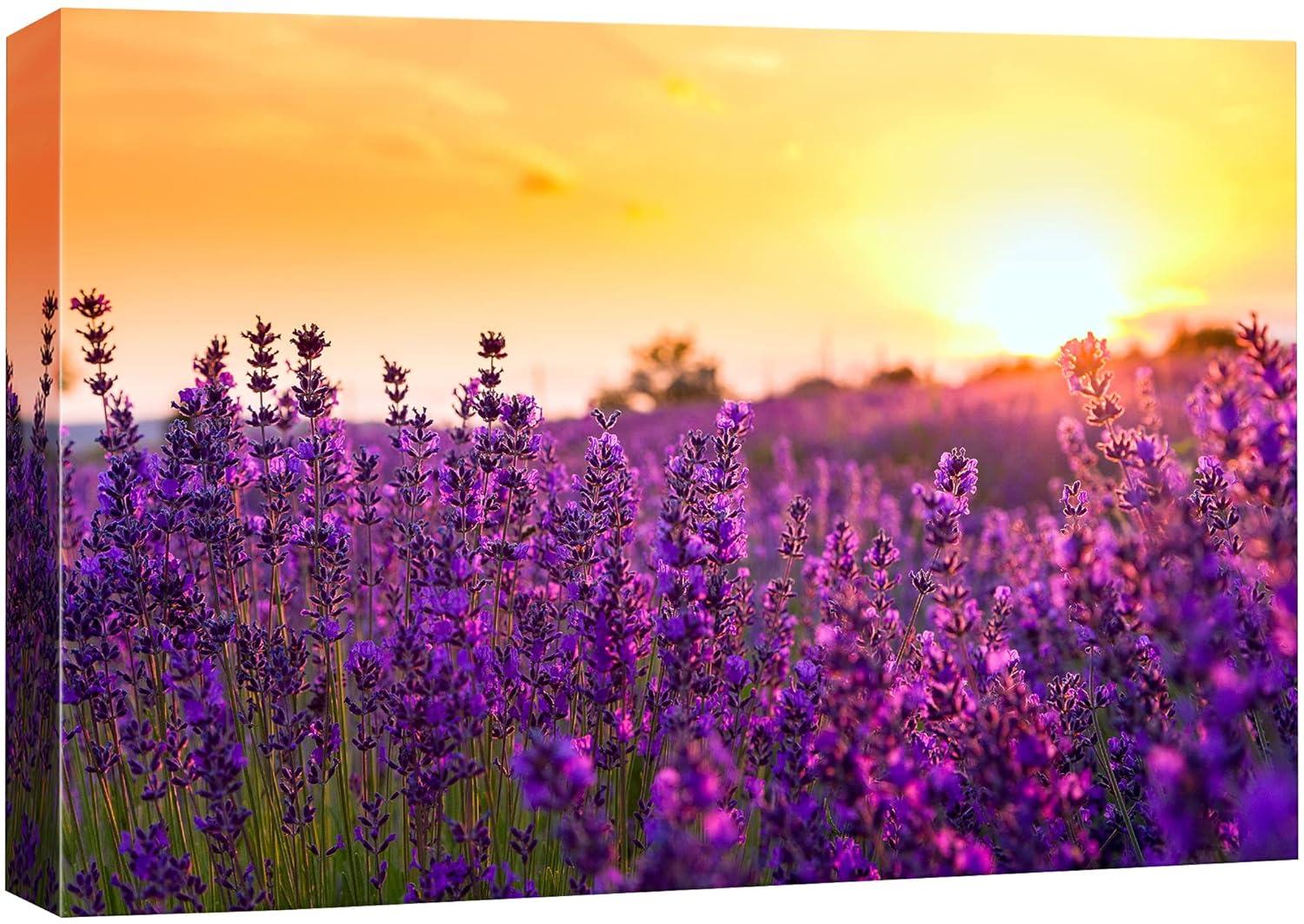 IDEA4WALL Flower Blossom " Lavender Flower Field At Sunset Floral Plants Photography Modern Art Rustic "