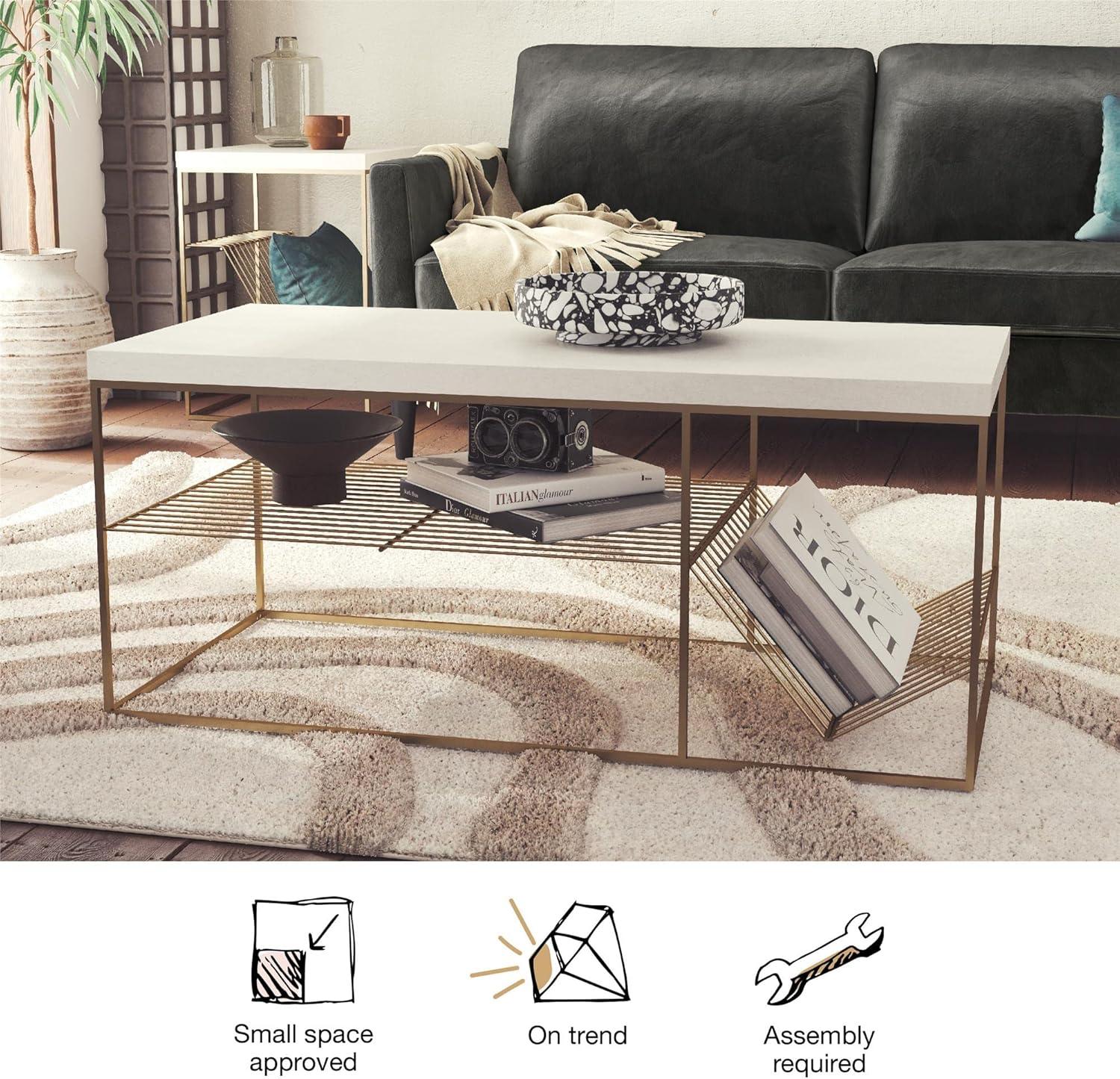 Neely Coffee Table with Storage