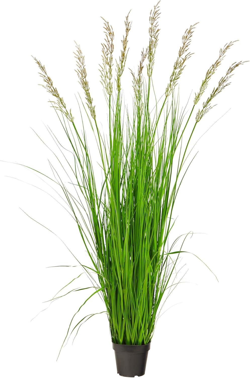 Nearly Natural 5.5-ft Plum Grass Artificial Plant