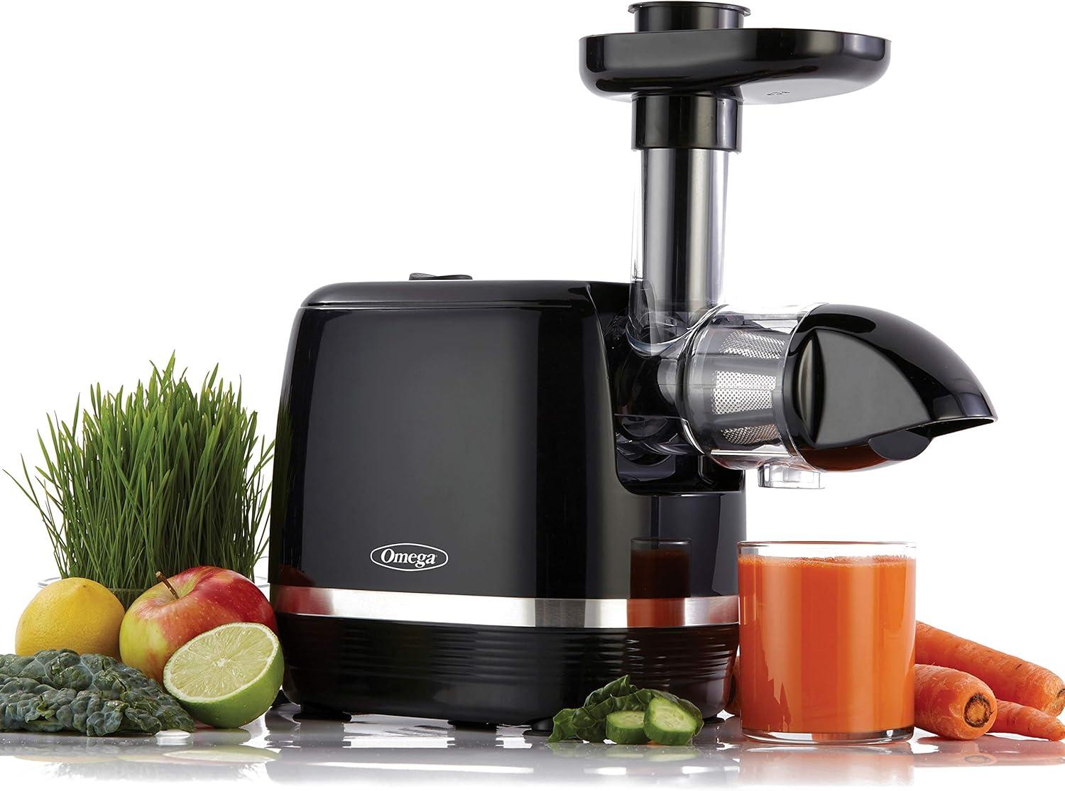 Omega H3000D Cold Press 365 Slow Masticating Juice Extractor Juicer, 150-Watts