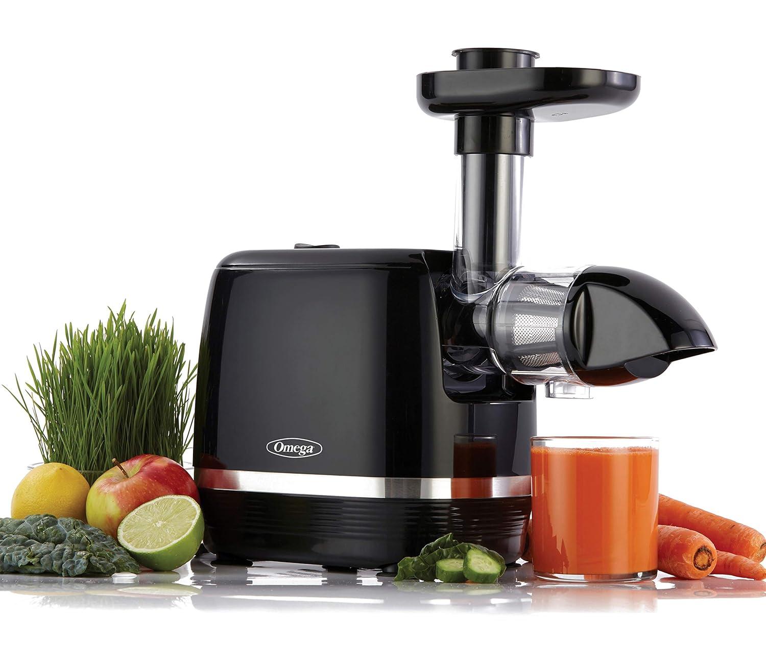 Omega H3000D Cold Press 365 Slow Masticating Juice Extractor Juicer, 150-Watts