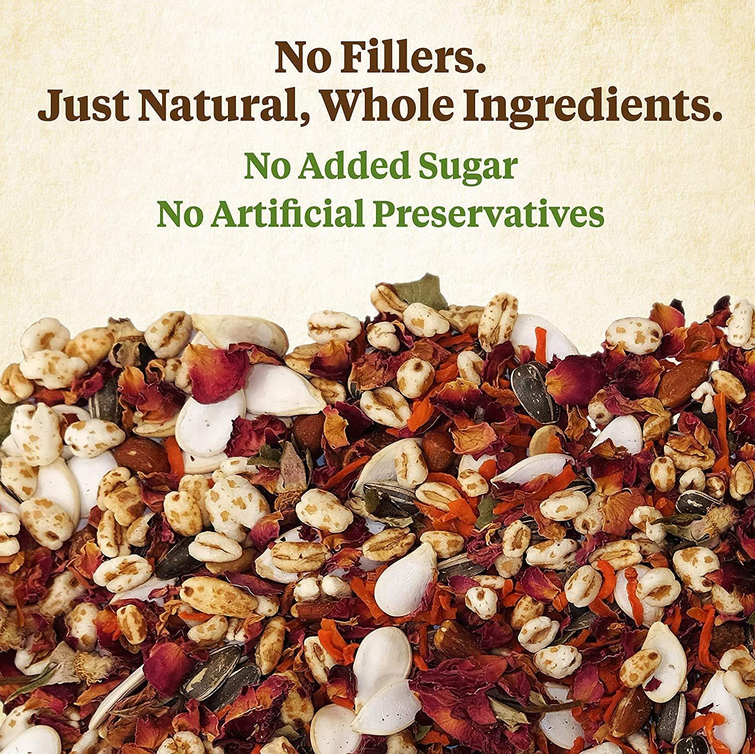 Kaytee Food From the Wild Natural Snack