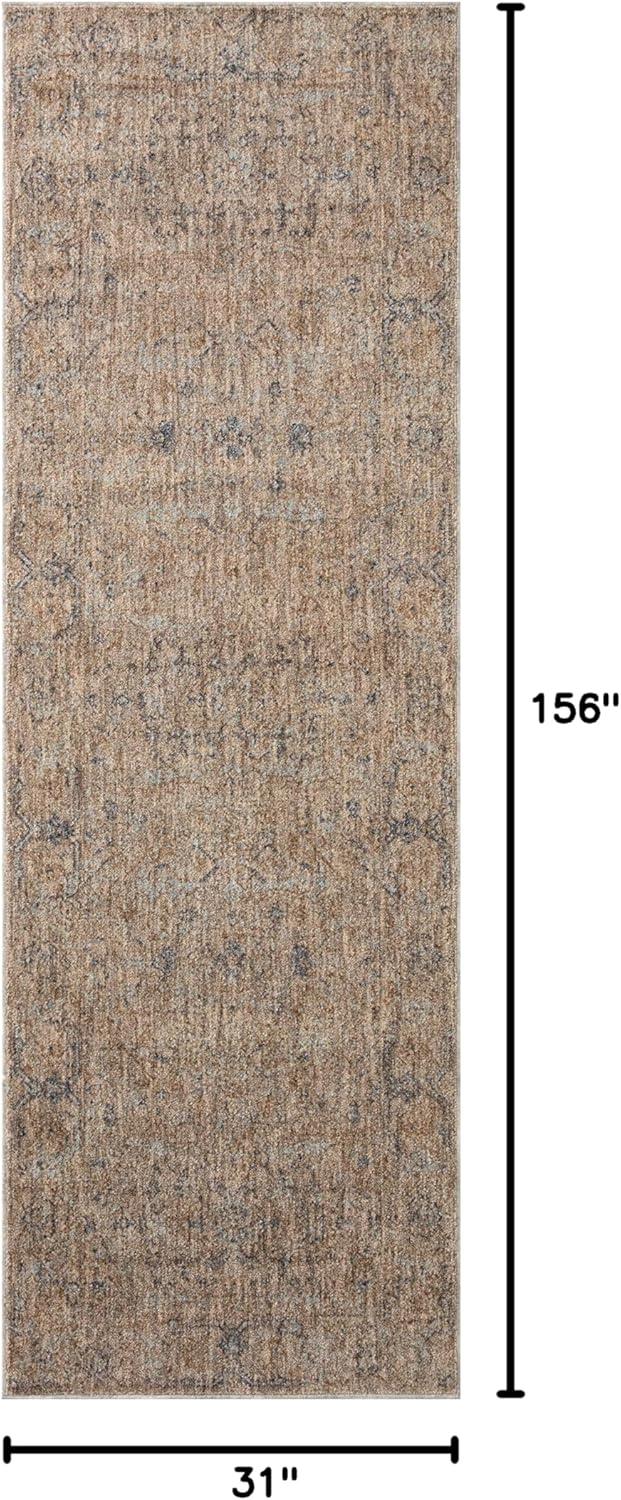 Angela Rose x Loloi Blake Taupe / Blue Area Rug