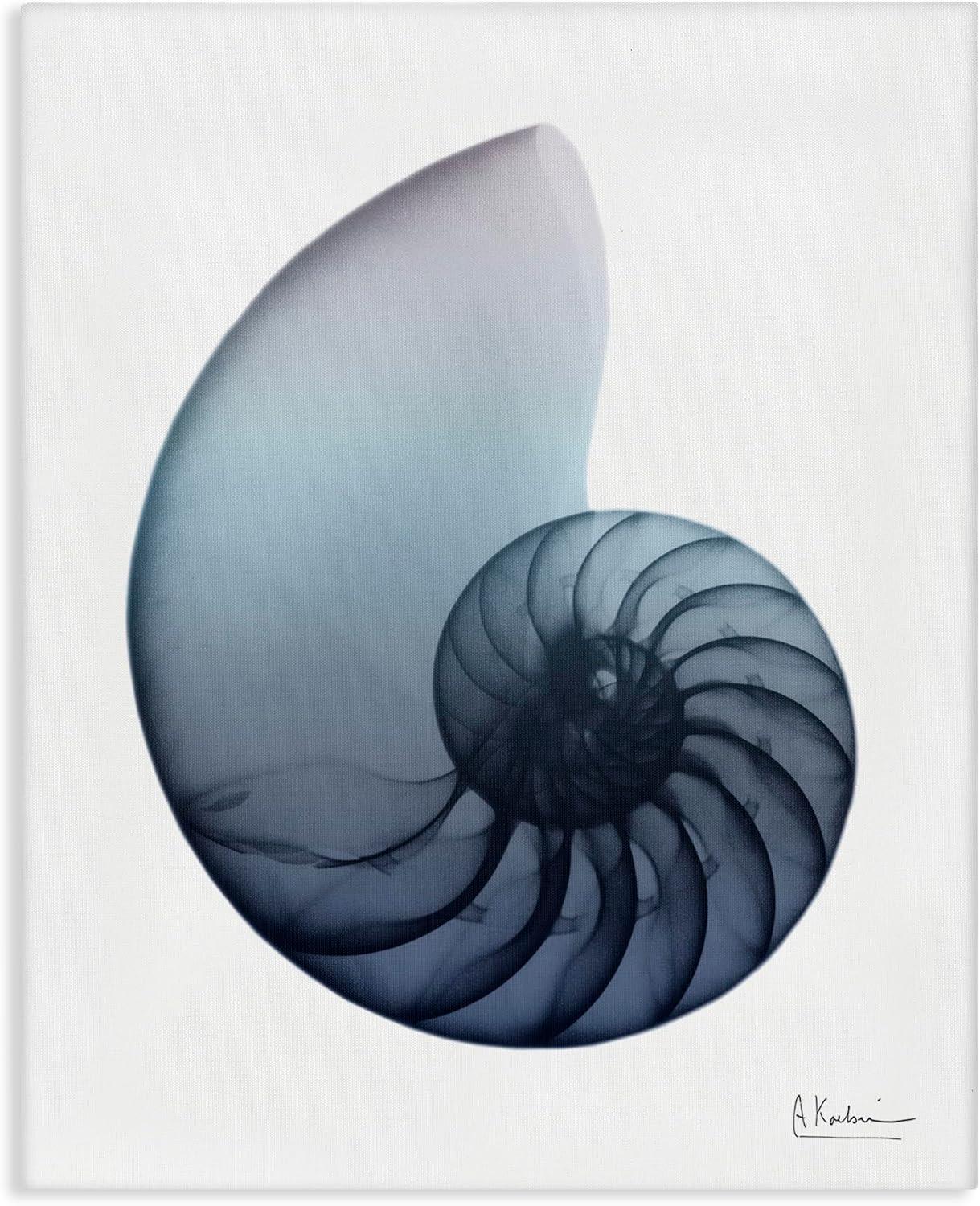 Stupell Industries Contemporary Nautilus Shell, 16" x 20"