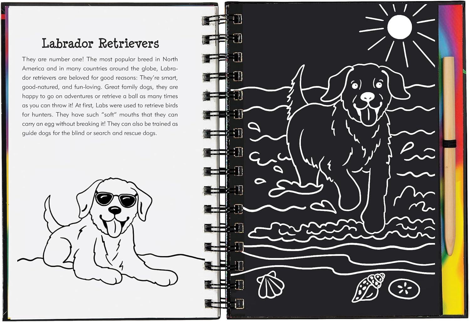 Rainbow Swirl and Glittery Foil Puppy Interactive Art Book