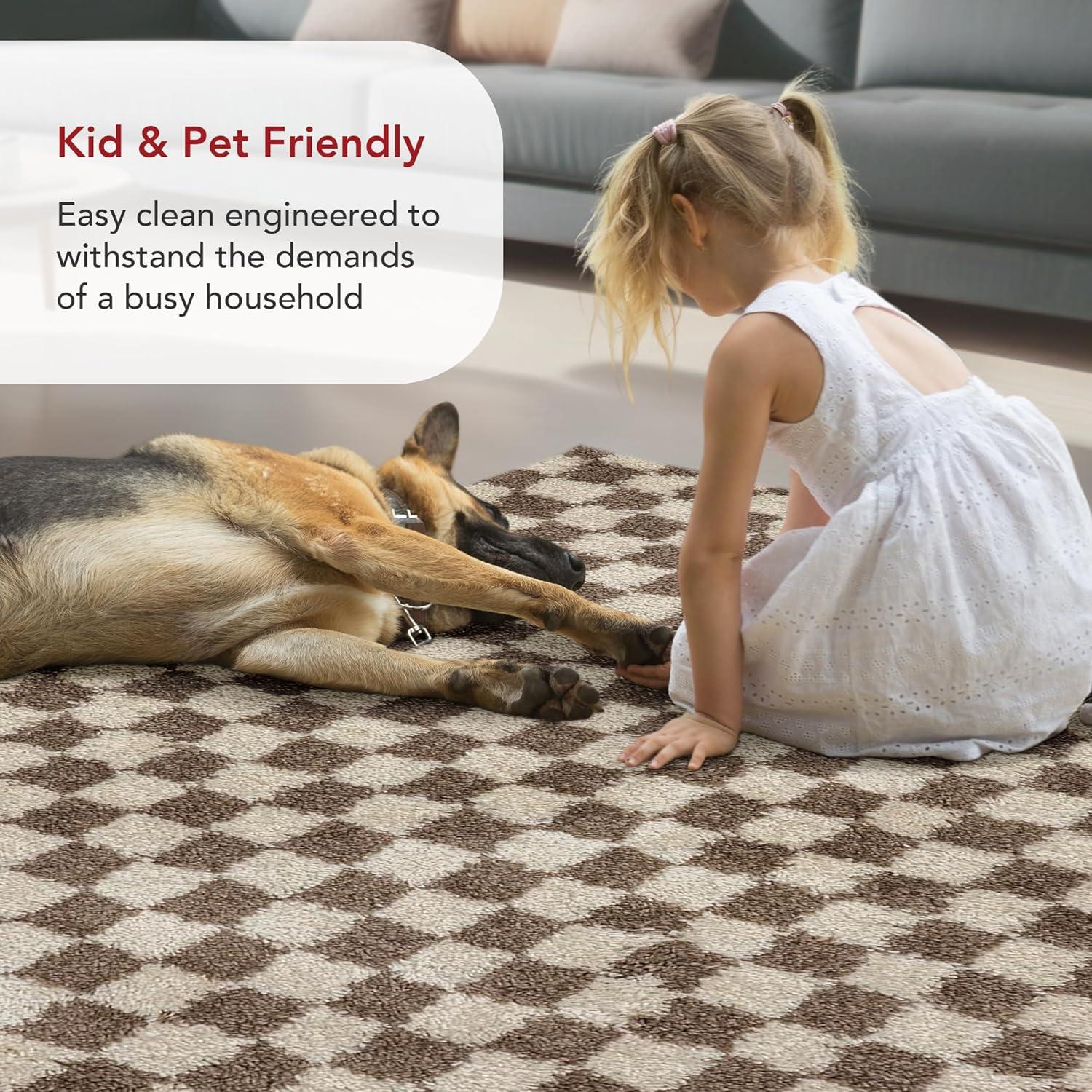 Nuloom Adelaide Checkered 3x5 Accent Shag Indoor Area Rug for Living Room Bedroom Dining Room Nursery Entryway, Beige/Brown