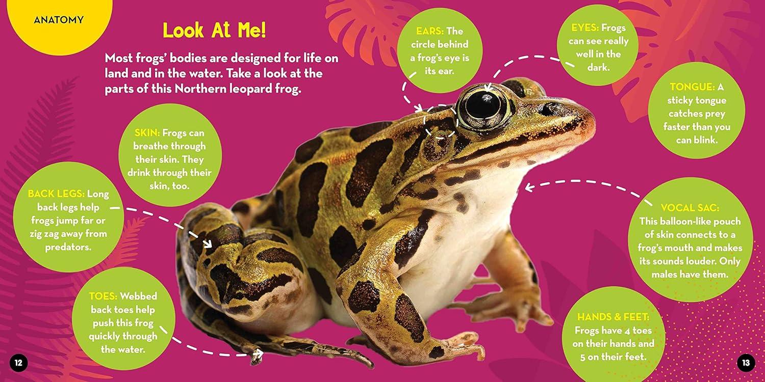 Go Wild! Frogs - by  Alicia Klepeis (Hardcover)