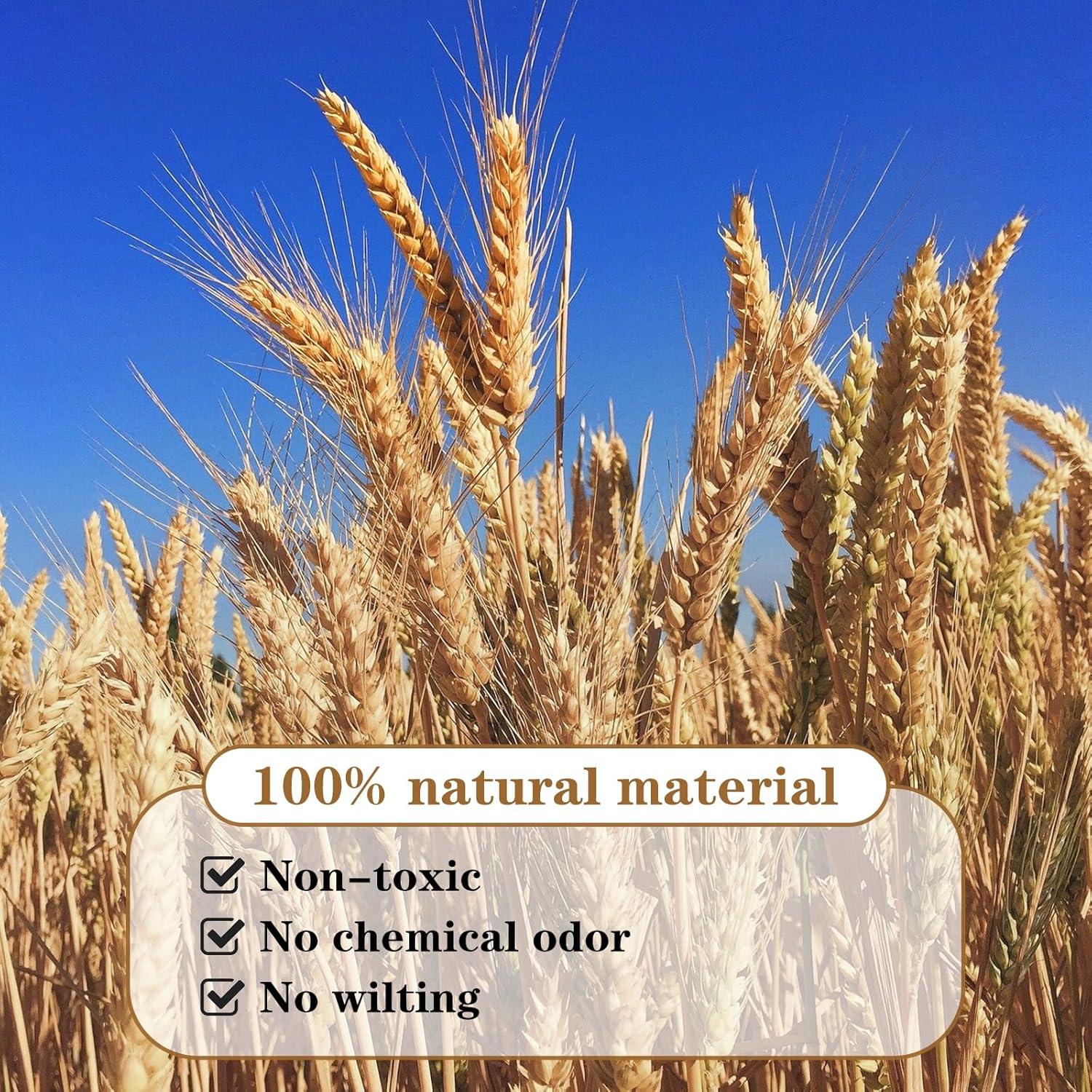 Ophelia & Co. 500PCS Dried Flowers Dried Wheat Stalks for Decor for Home DIY Design Table Centerpieces | Wayfair