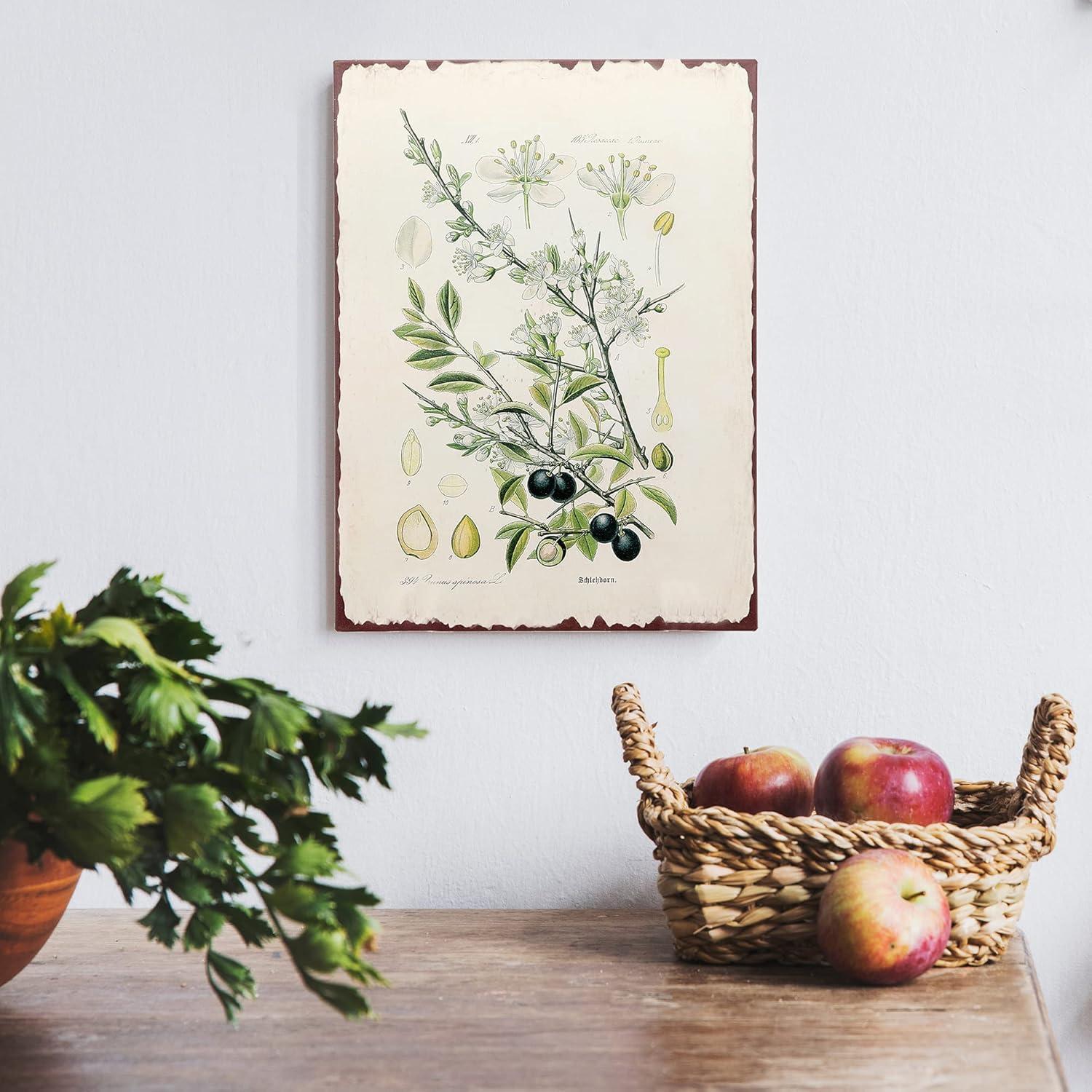 Barnyard Designs Botanical Blackthorn Tree Print Wall Art Metal Tin Sign Primitive Country Farmhouse Home Decor, 10" x 13"