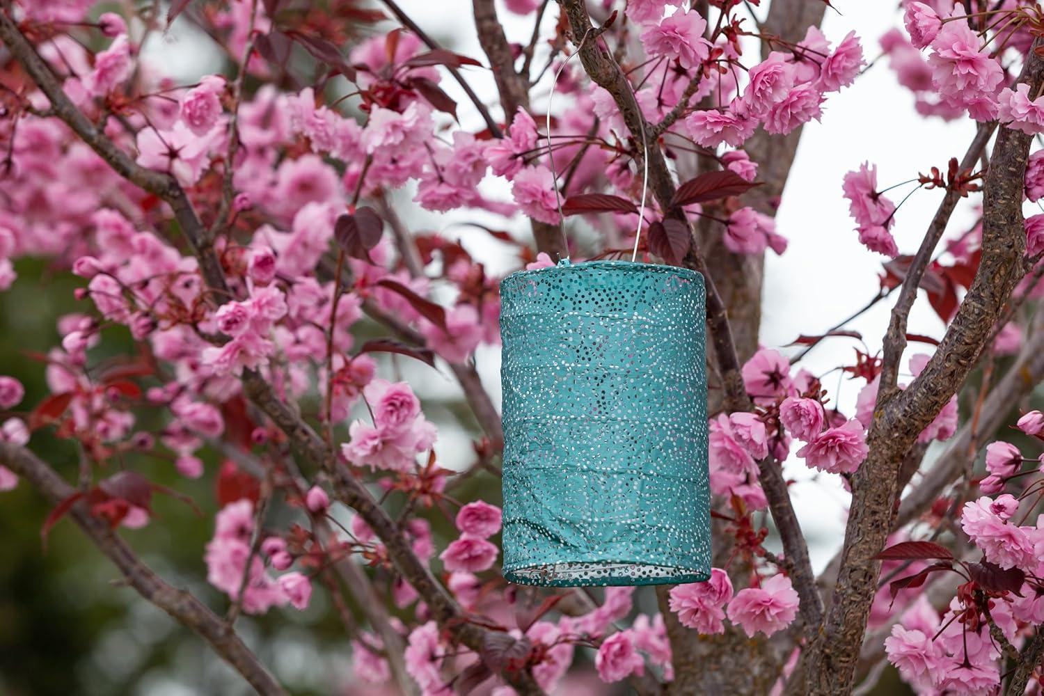 Soji Stella Cylinder Solar Outdoor Lanterns - Set of 2