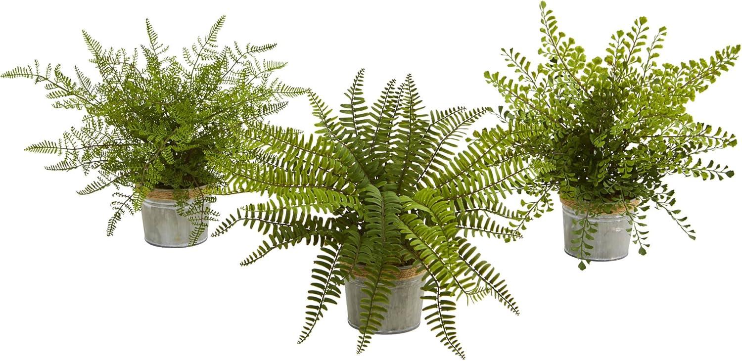 14" x 13" 3pc Artificial Ferns with Planter Set - Nearly Natural: Indoor Greenery Decor, Faux Plant Display