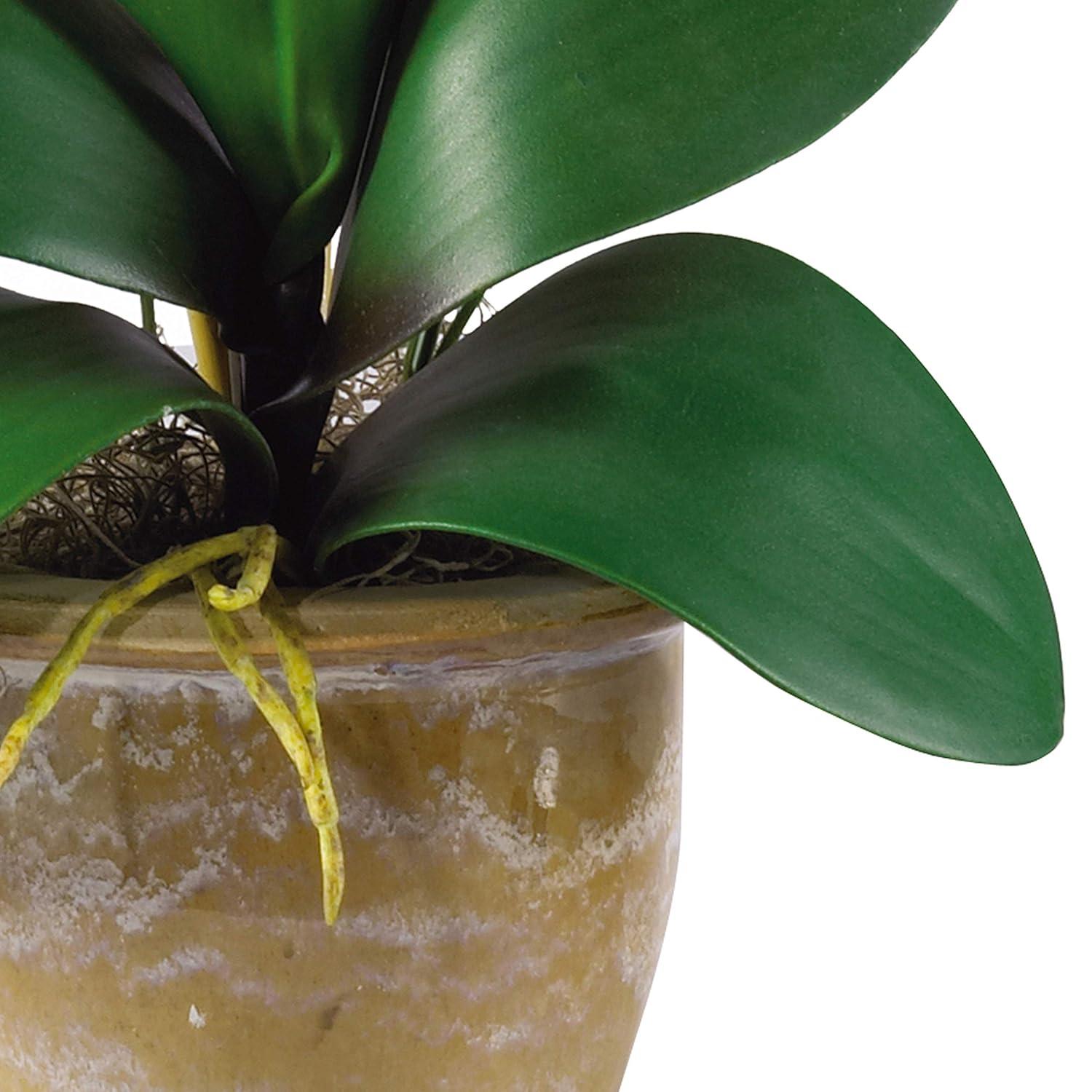 Nearly Natural Phalaenopsis Silk Orchid Flower Arrangement, Beauty