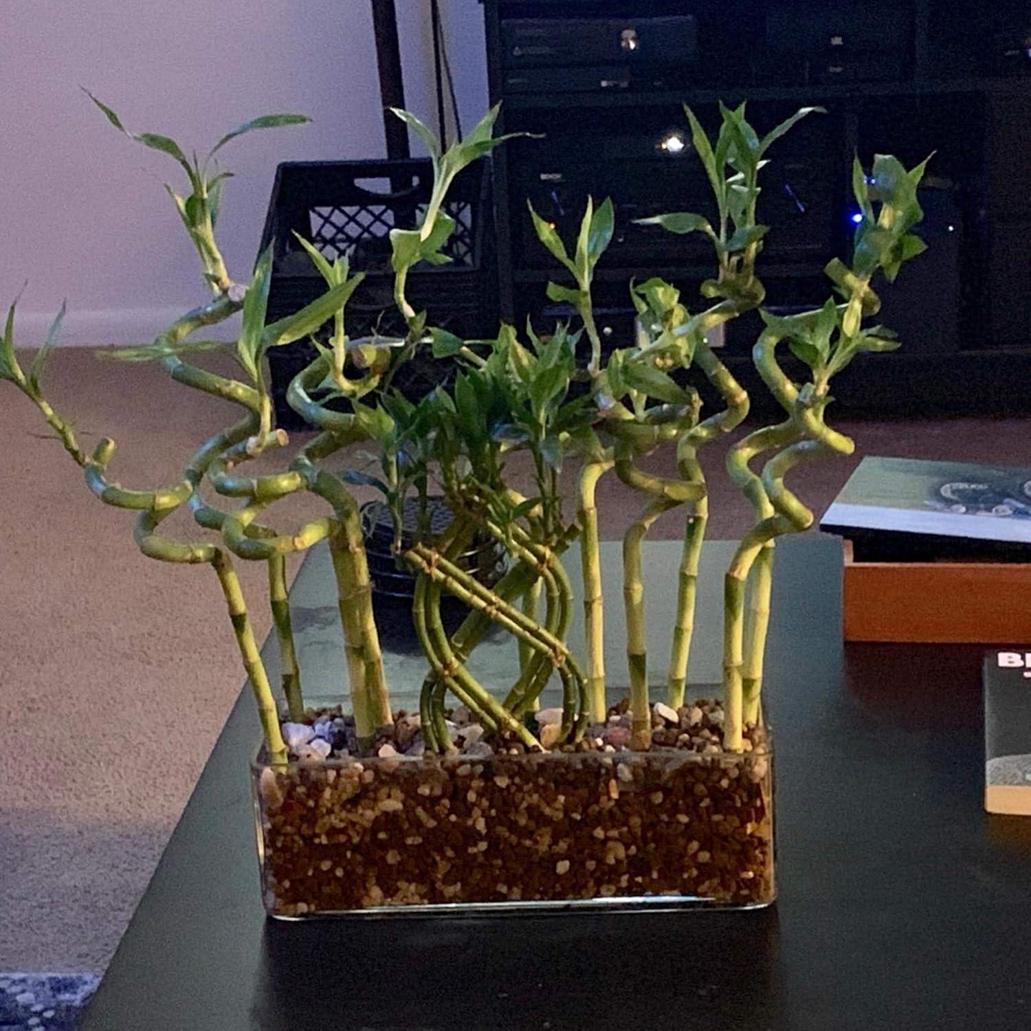 WGV Rectangle Block Glass Vase, Width 4", Length 12", Height 4", Clear Long Floral Container, Candle Holder for Home Office Wedding Decor, 1 Piece