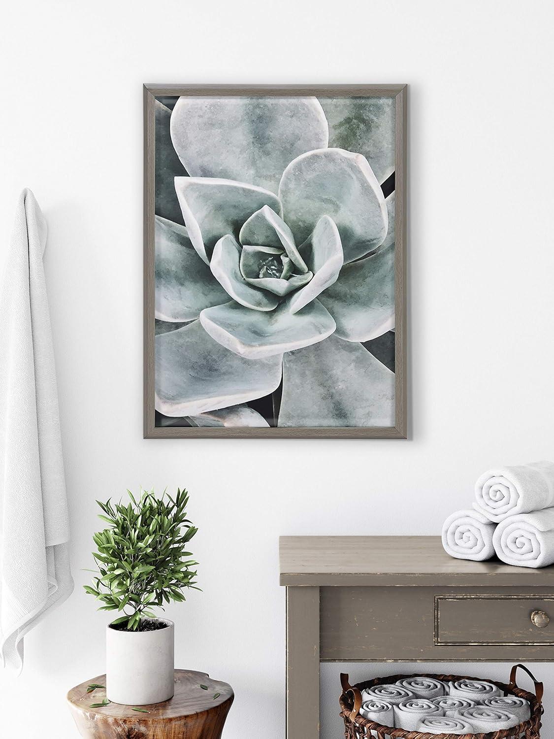 18" x 24" Blake Botanical Succulent Plants Printed Glass Framed Canvas by the Creative Bunch Studio Gray - Kate & Laurel All Things Decor: