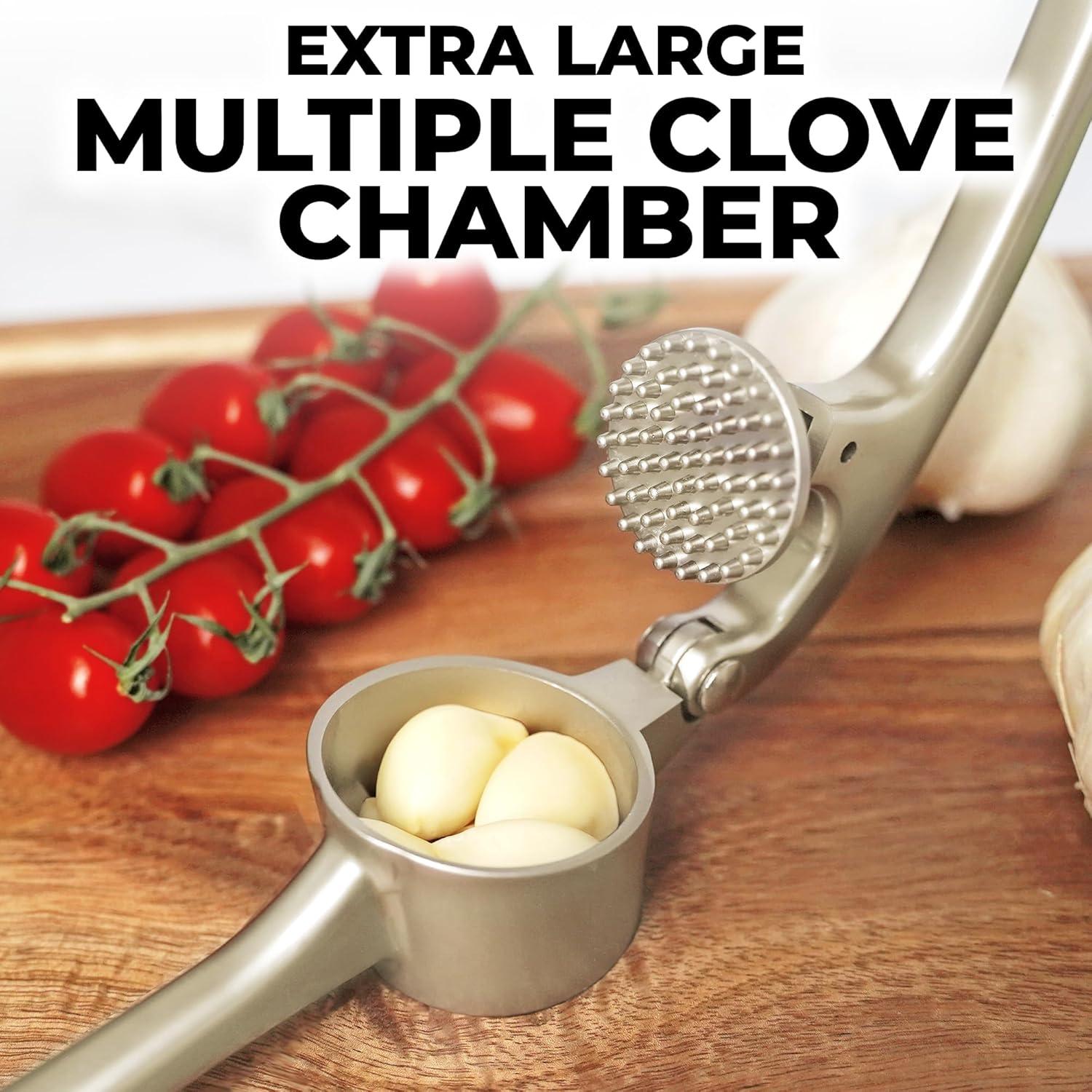 Large Silver Stainless Steel Garlic Press Set