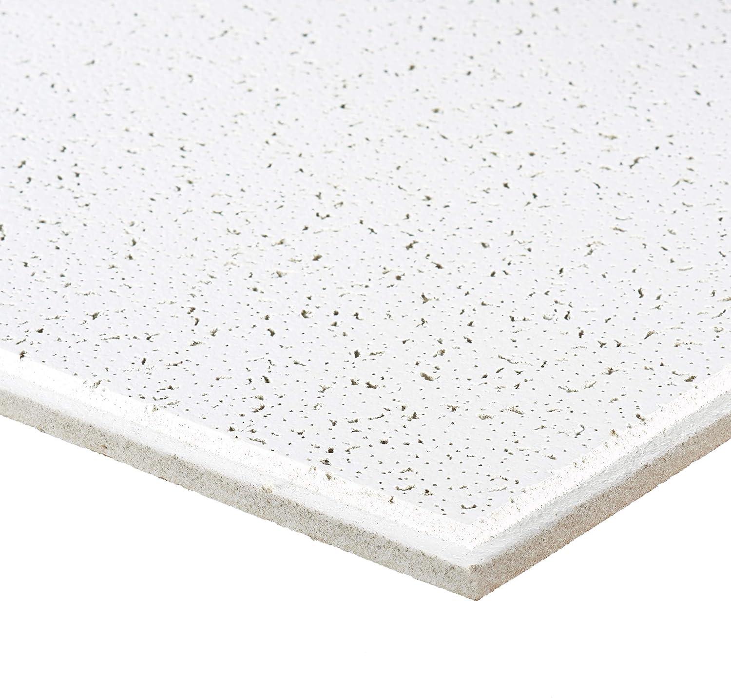 Cortega 2x2 White Acoustic Ceiling Tiles