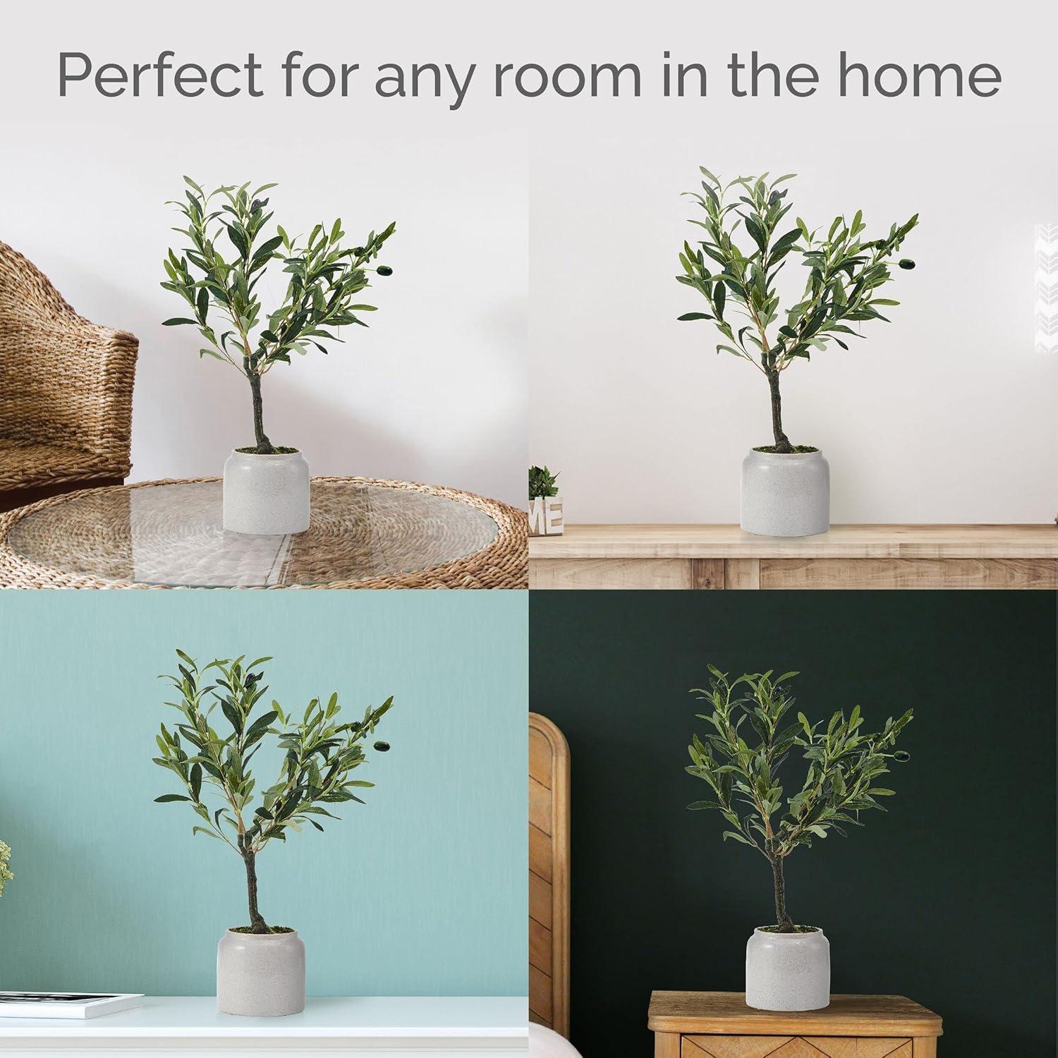 Elements Elements 21.5 in. Artificial Olive Tree Plant in Pot
