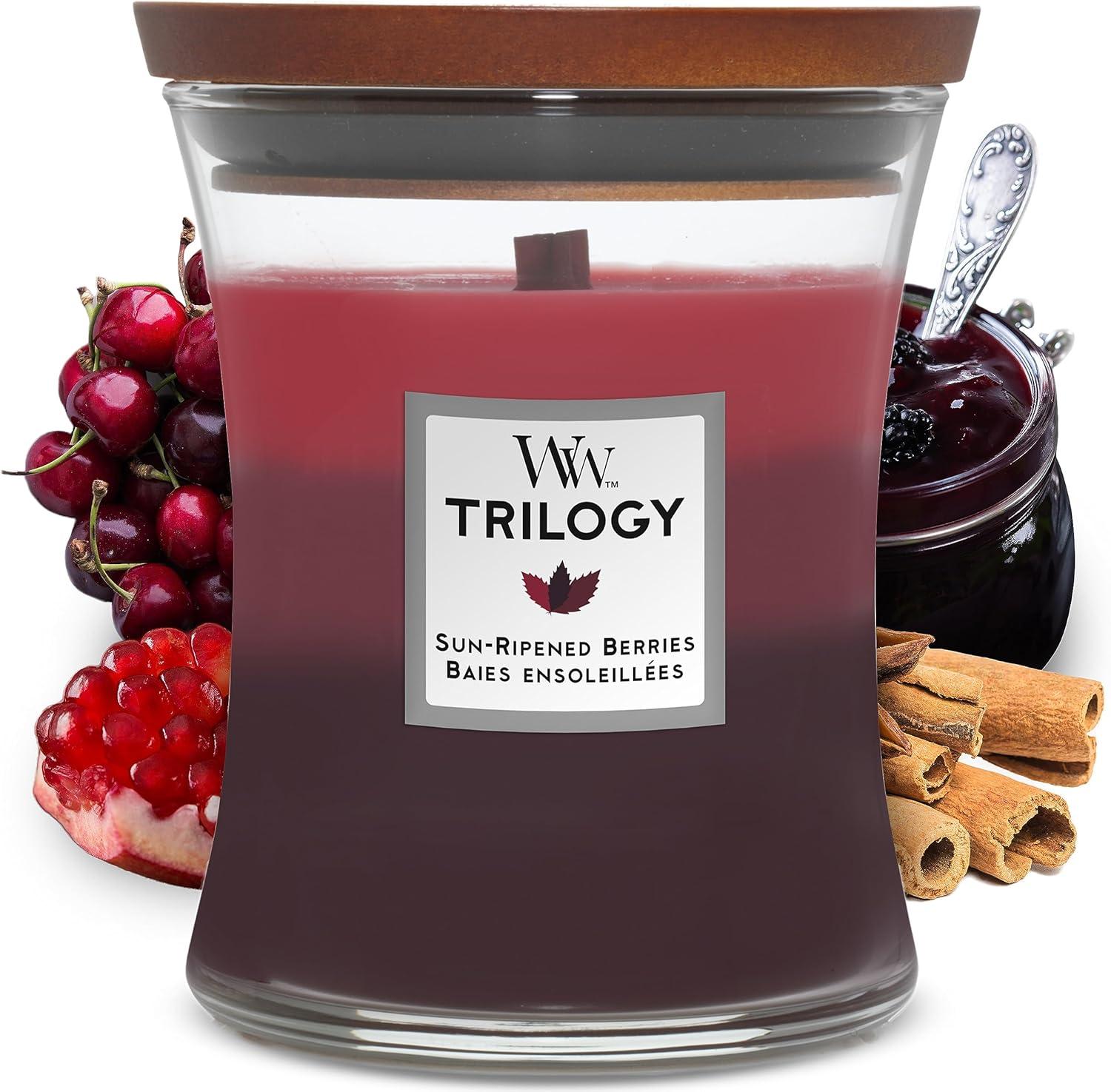 Sun-Ripened Berries Black Scented Jar Candle