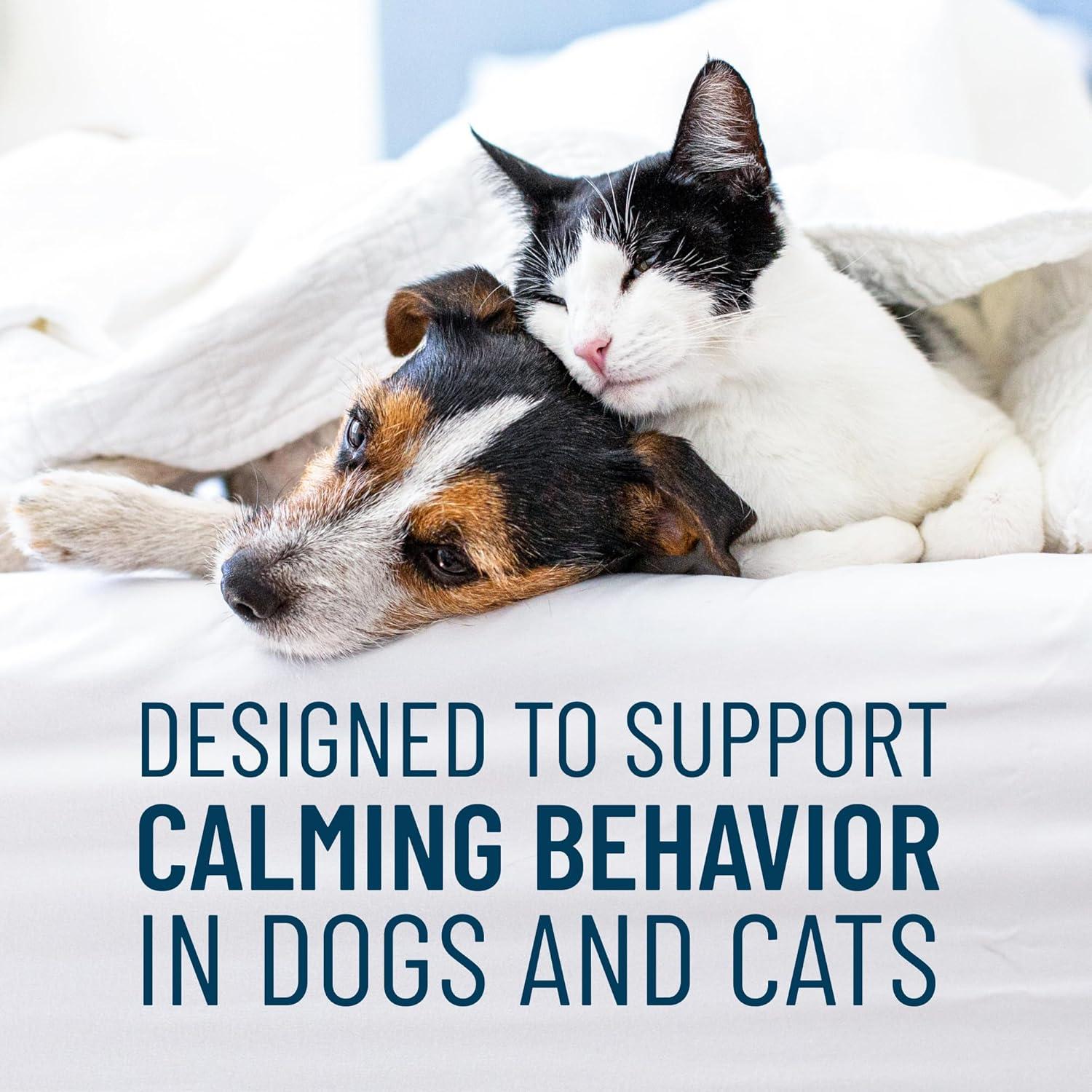 Solliquin Soft Chews Calming for Small & Medium Dogs & Cats 75ct