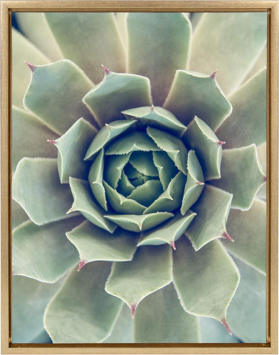 Gold Framed Succulent Canvas Wall Art, 18x24